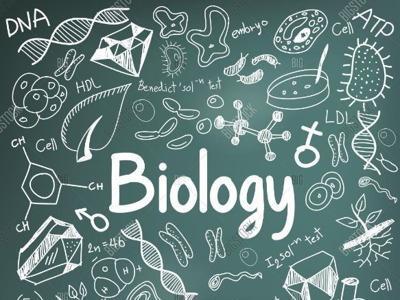 وبینار رایگان بررسی مسیر دانشجویان رشته های علوم زیستی برای تحصیل ، کار و رشد علمی