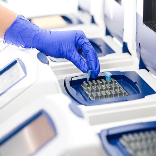 دوره آزمایشگر PCR-RT, PCR